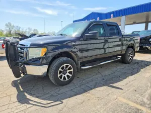 Ford F-150 4.6L 8 2010