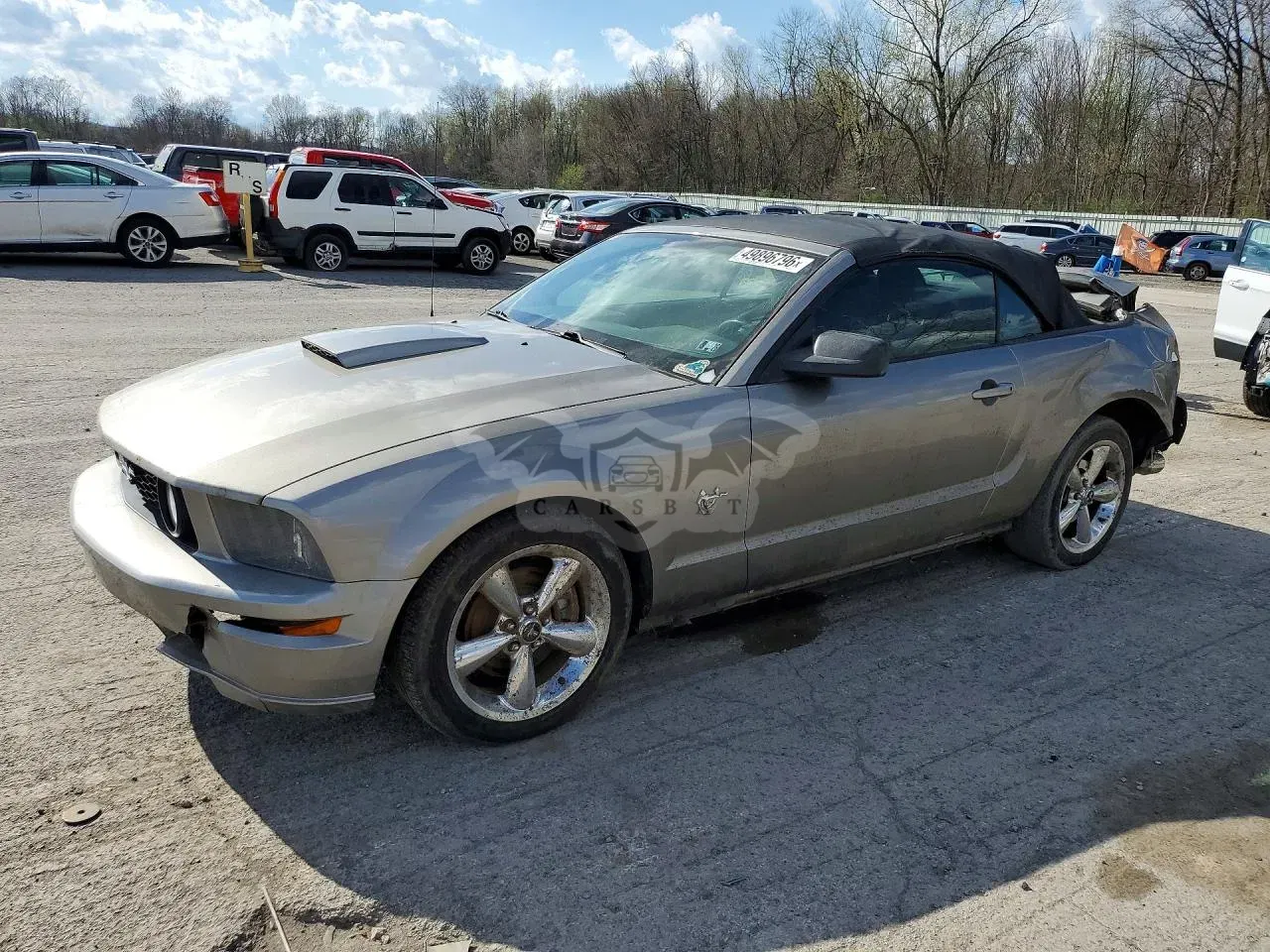 Ford Mustang 4.6L 8 2009