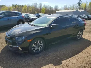 Honda Civic 2.0L 4 2019