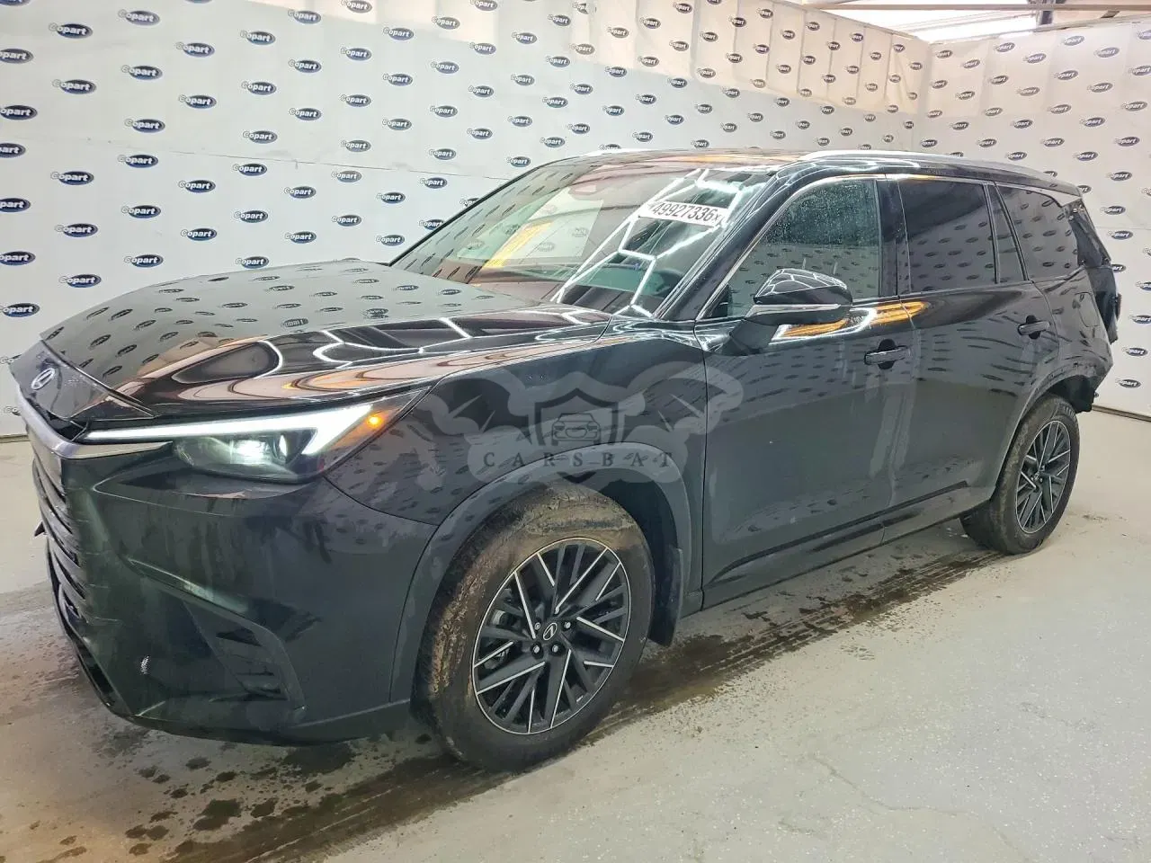 Lexus TX Series 2.4L 4 2026