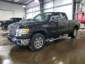 Ford F-150 4.6L 8 2010