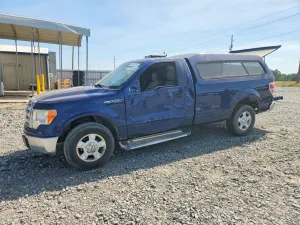 Ford F-150 4.6L 8 2009