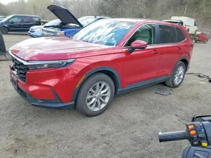Honda CR-V 1.5L 4 2025