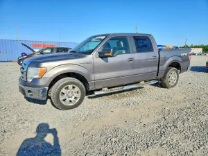 Ford F-150 4.6L 8 2009