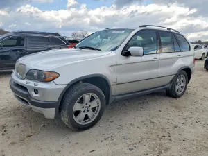 BMW X5 4.8L 8 2006