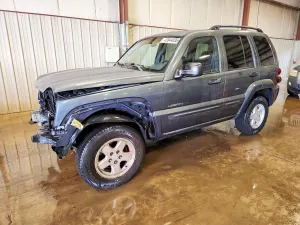 Jeep Liberty 3.7L 6 2002