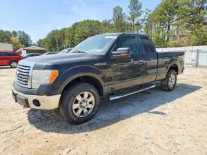 Ford F-150 4.6L 8 2010