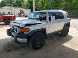 Toyota FJ Cruiser 4.0L 6 2007