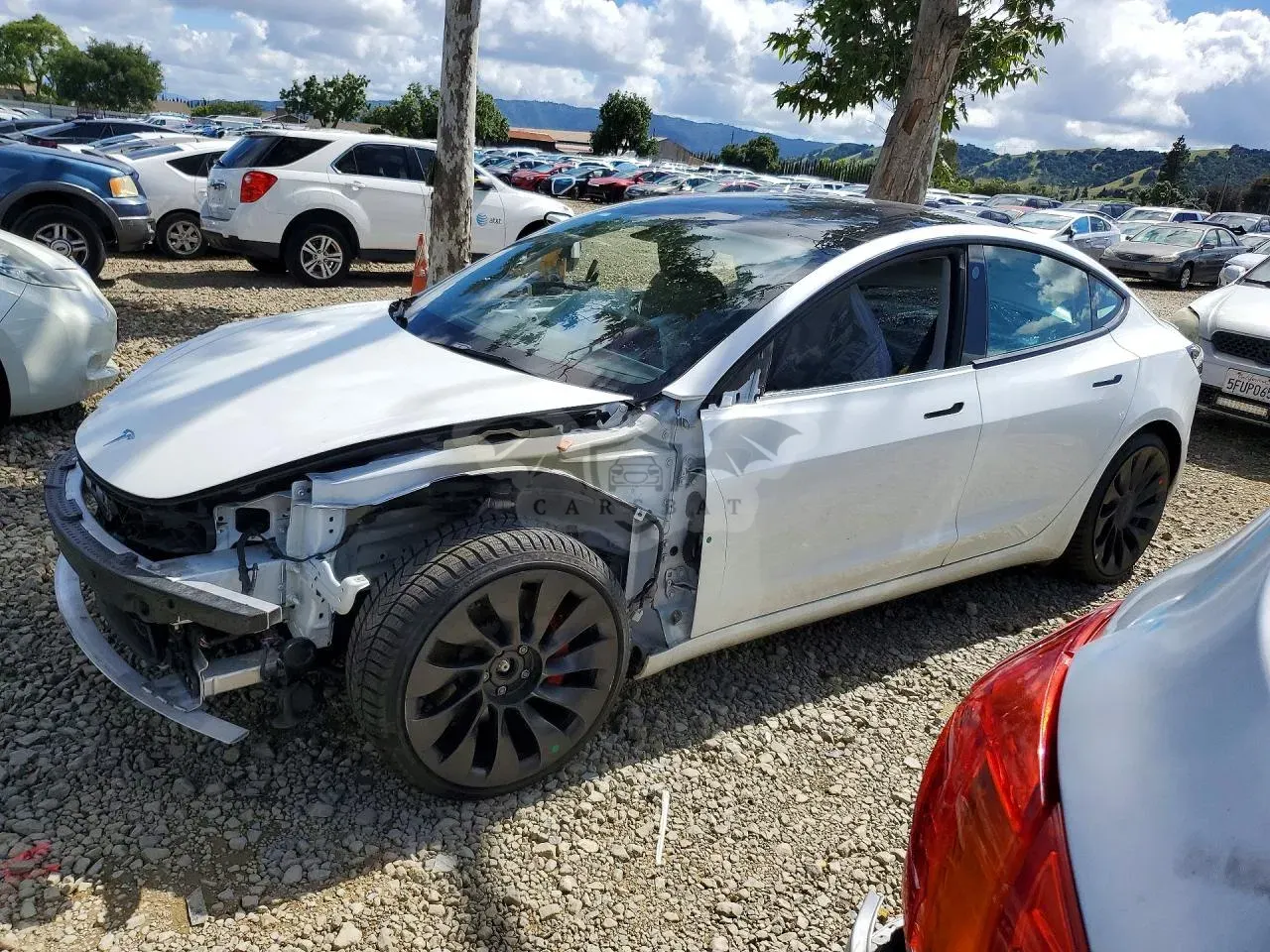 Tesla Model 3 2021