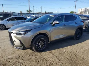 Lexus NX 2.5L 4 2024