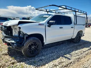 Chevrolet Silverado 1500 5.3L 8 2020