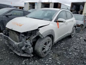 Hyundai Kona 2.0L 4 2021