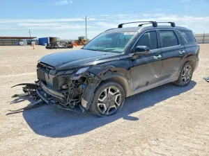Hyundai Palisade 3.8L 6 2024