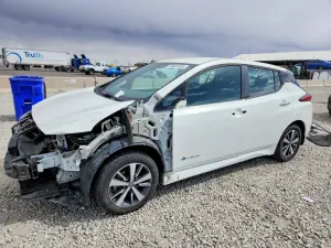 Nissan Leaf 0.0L 0 2019