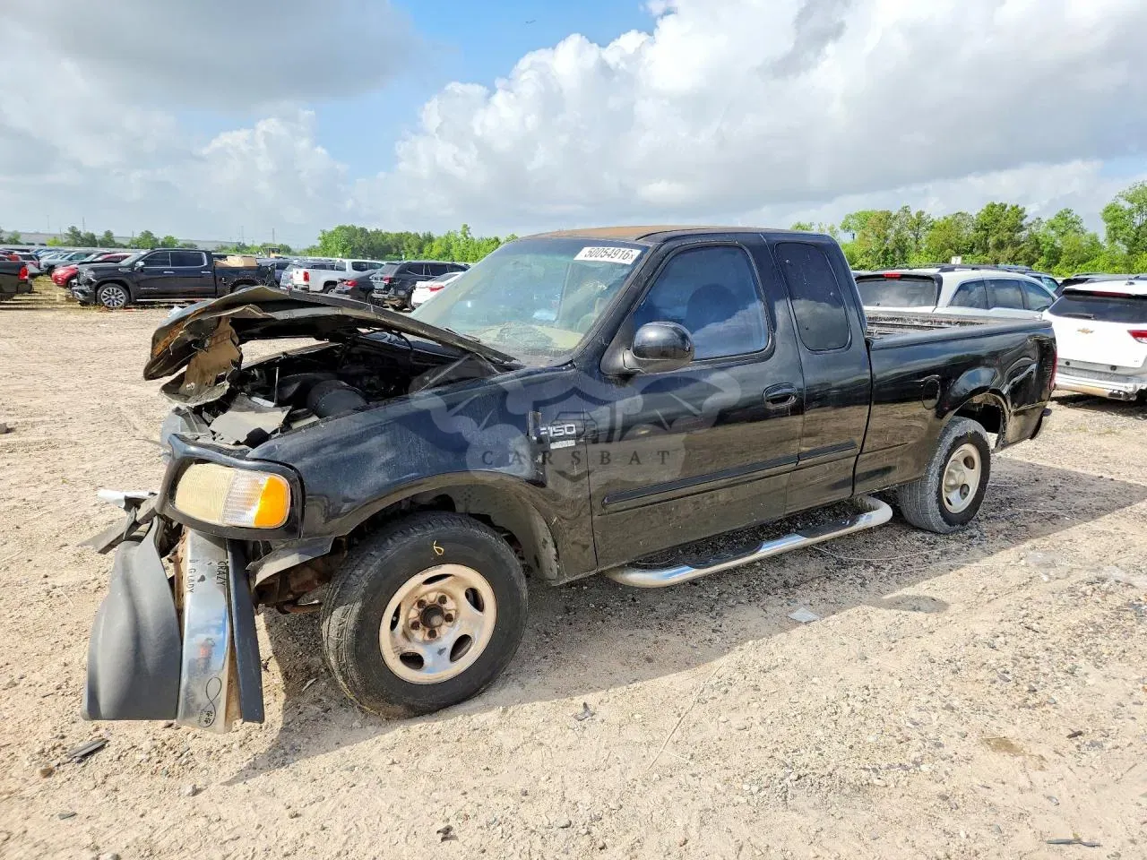 Ford F-150 5.4L 8 1999