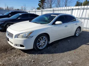 Nissan Maxima 3.5L 6 2011