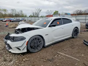 Dodge Charger 6.4L 8 2019