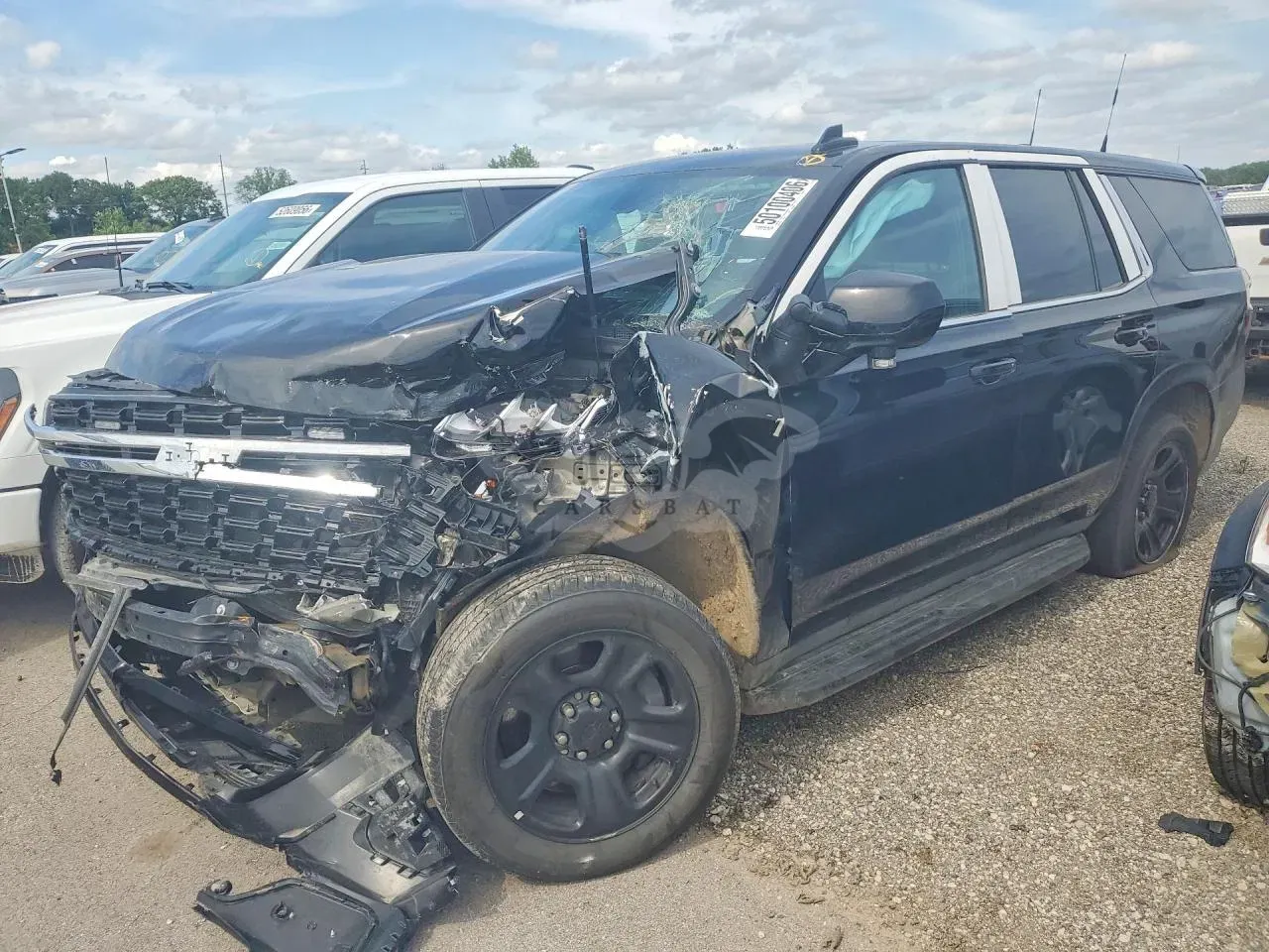 Chevrolet Tahoe 5.3L 8 2024