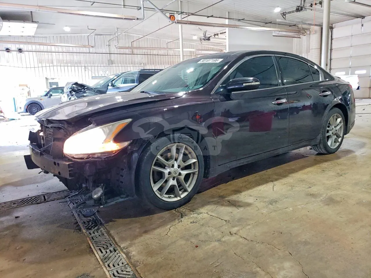 Nissan Maxima 3.5L 6 2010