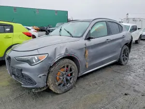 Alfa Romeo Stelvio 2.0L 4 2021
