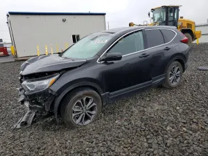 Honda CR-V 1.5L 4 2022