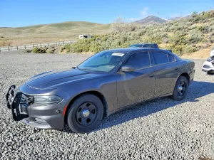Dodge Charger 5.7L 8 2019