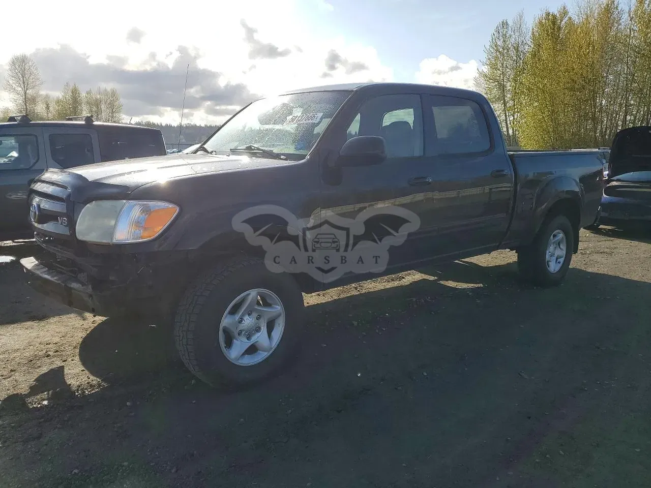 Toyota Tundra 4.7L 8 2006
