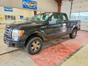 Ford F-150 4.6L 8 2010