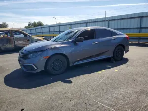 Honda Civic 2.0L 4 2019