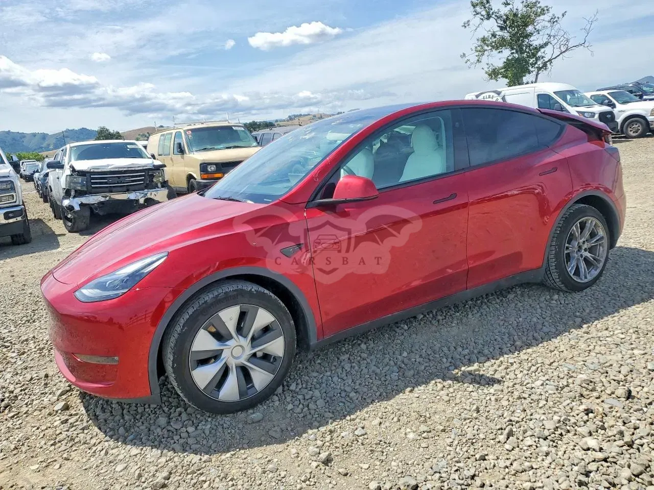 Tesla Model Y 2024