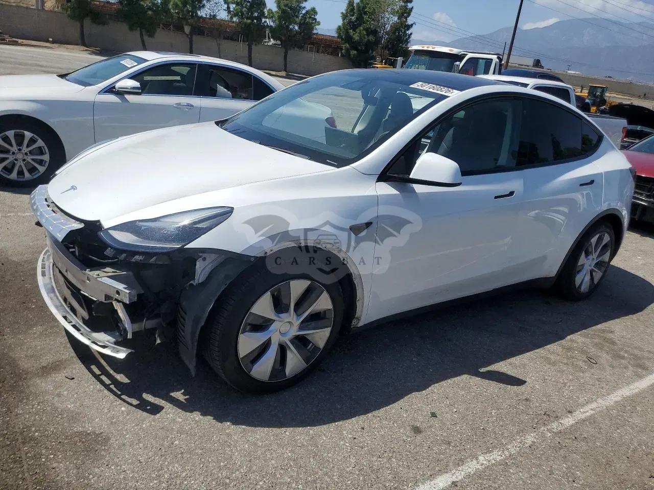 Tesla Model Y 2020