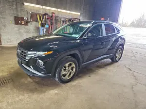 Hyundai Tucson 2.5L 4 2024