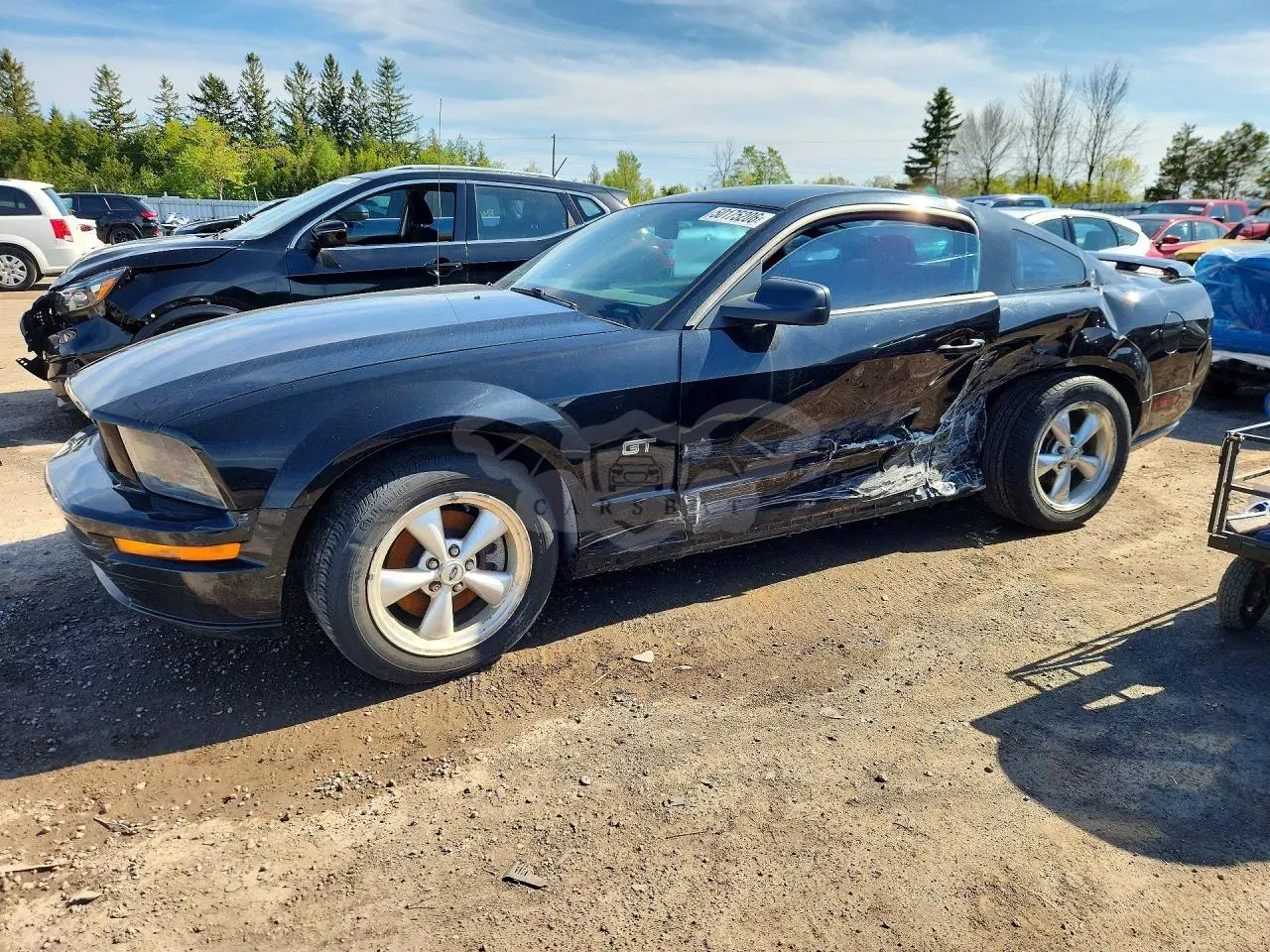 Ford Mustang 4.6L 8 2007