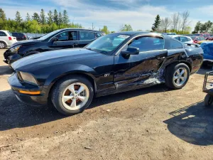 Ford Mustang 4.6L 8 2007