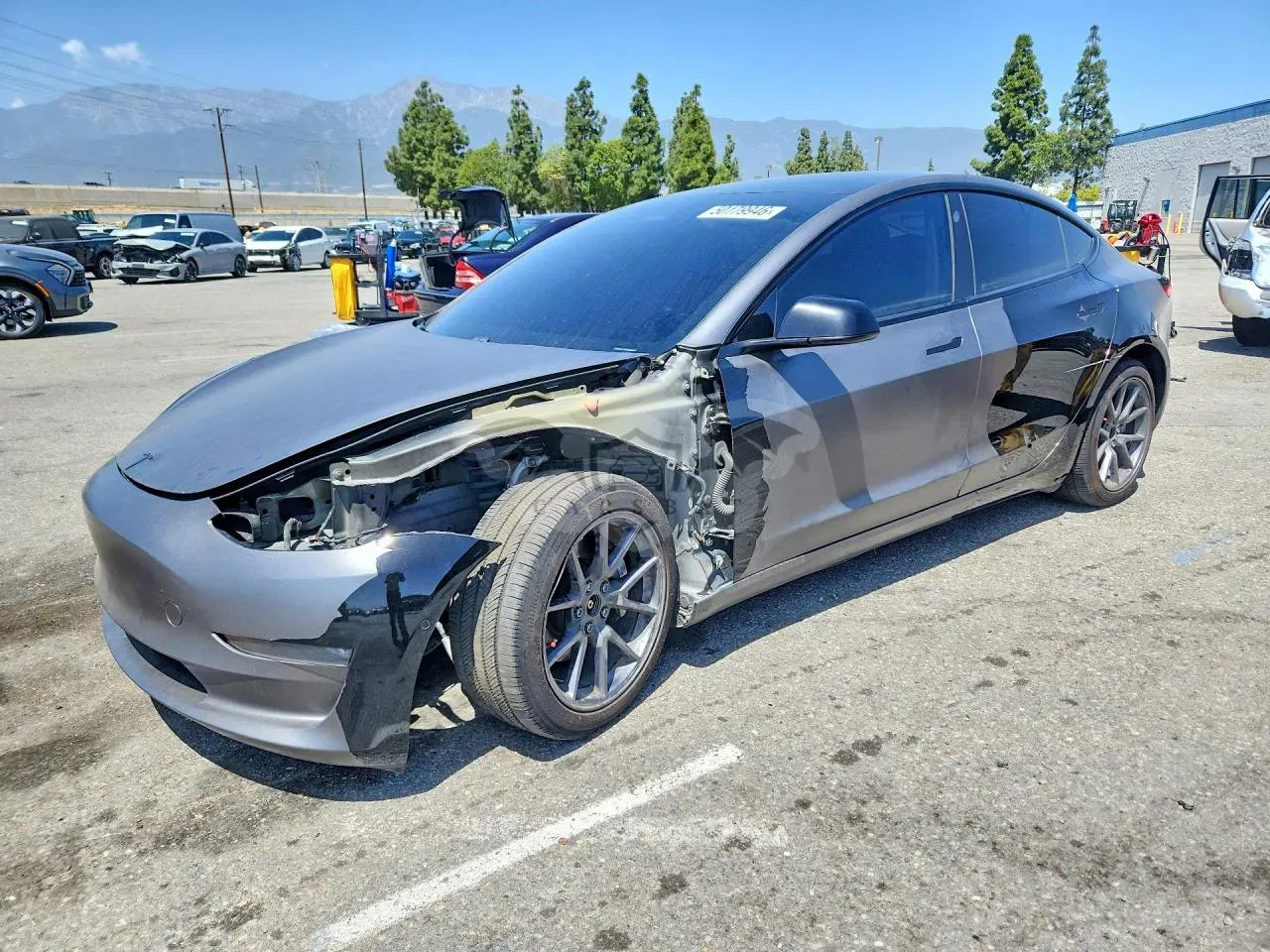 Tesla Model 3 2021