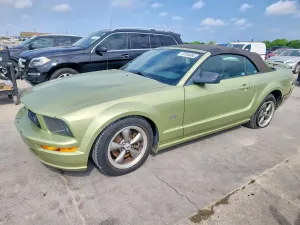 Ford Mustang 4.6L 8 2005