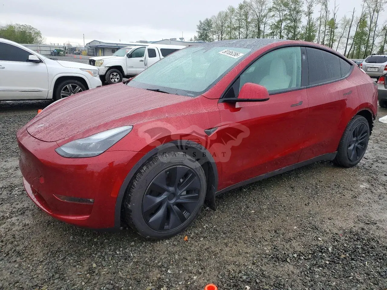 Tesla Model Y 2024