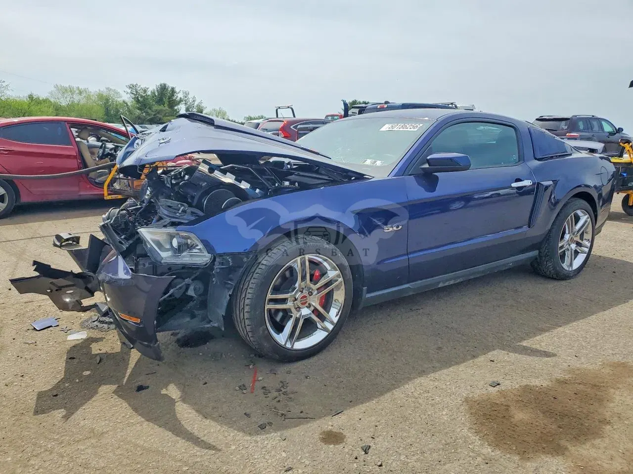 Ford Mustang 5.0L 8 2011
