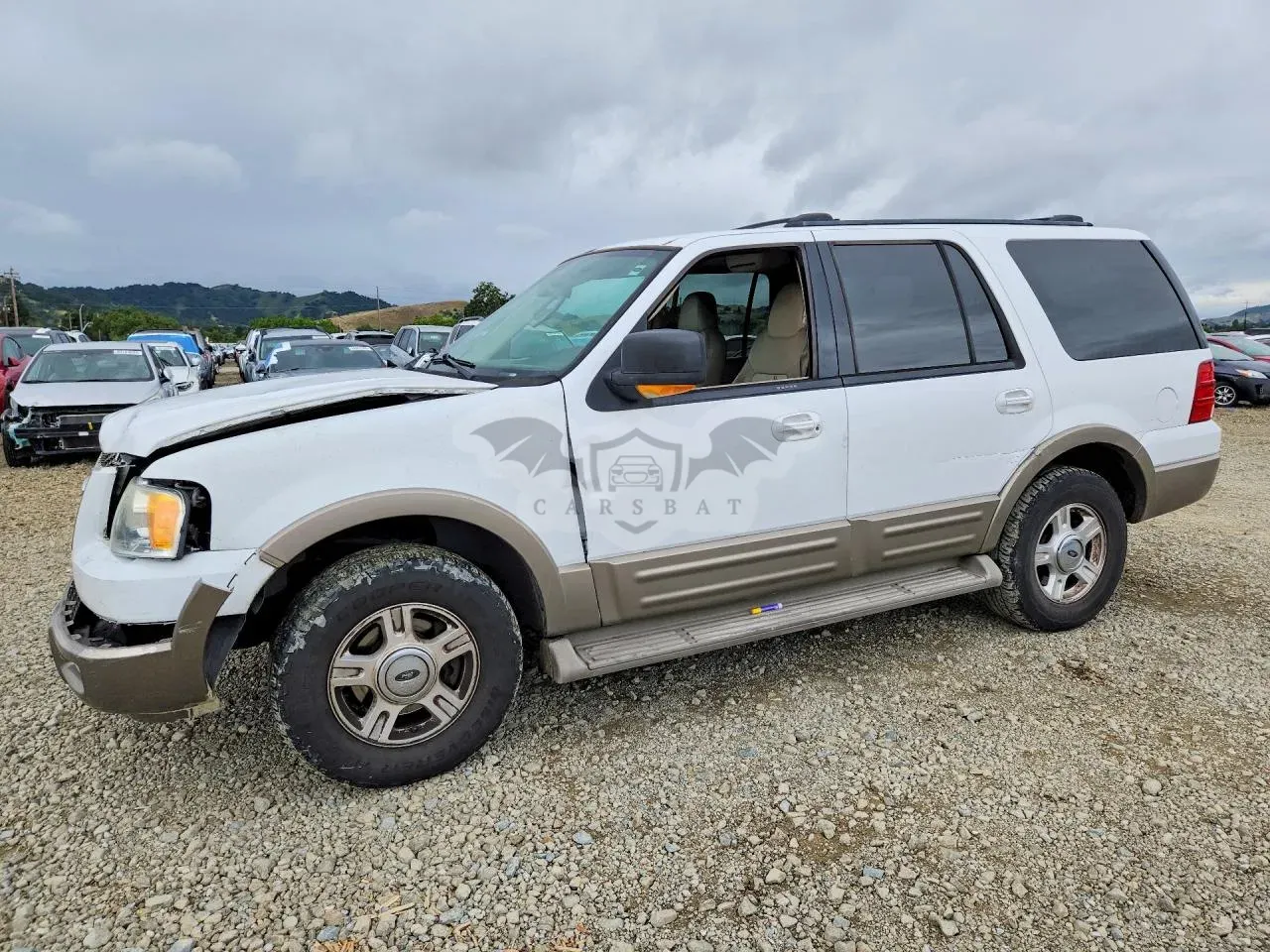 Ford Expedition 5.4L 8 2004