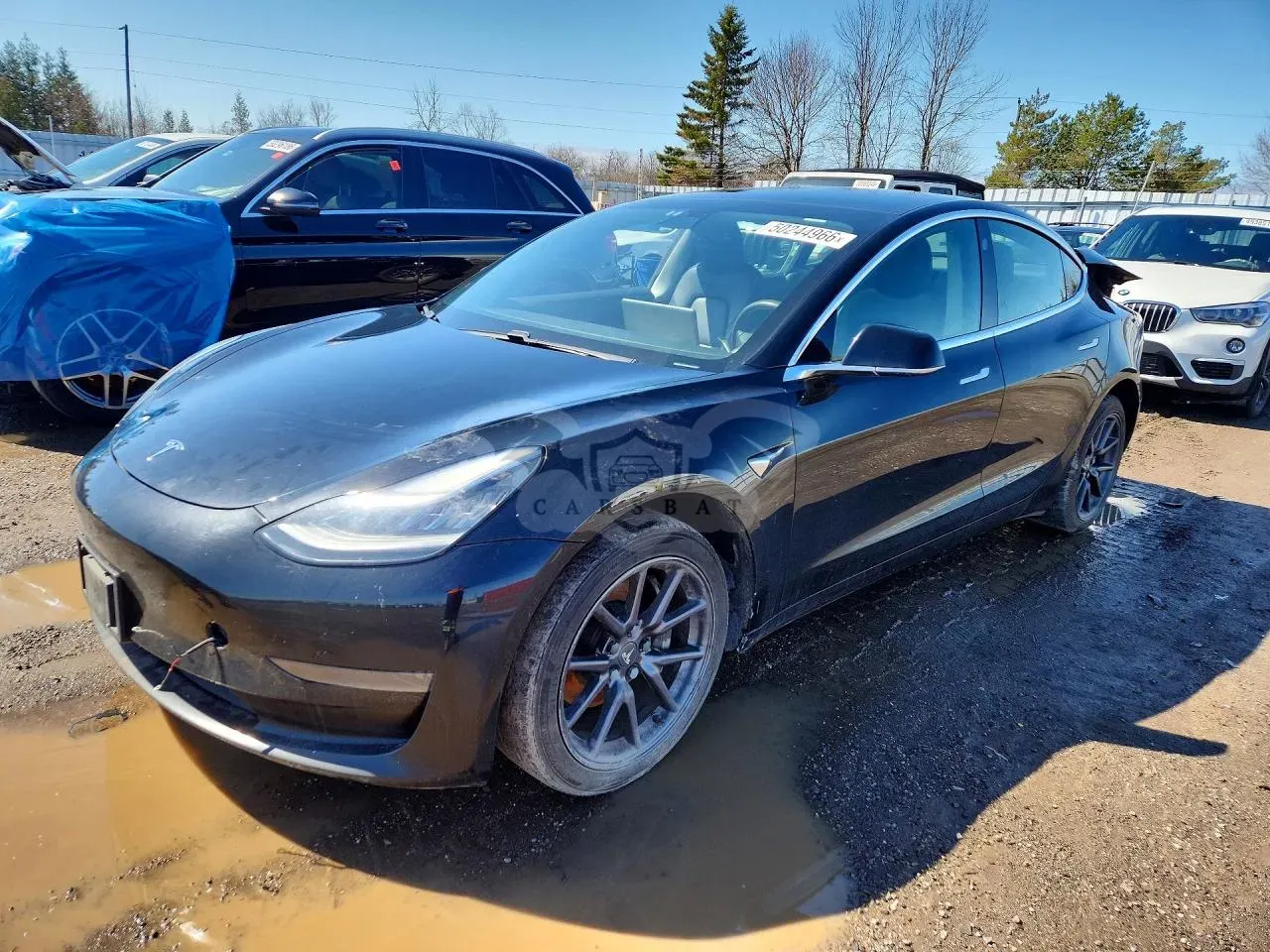 Tesla Model 3 2020