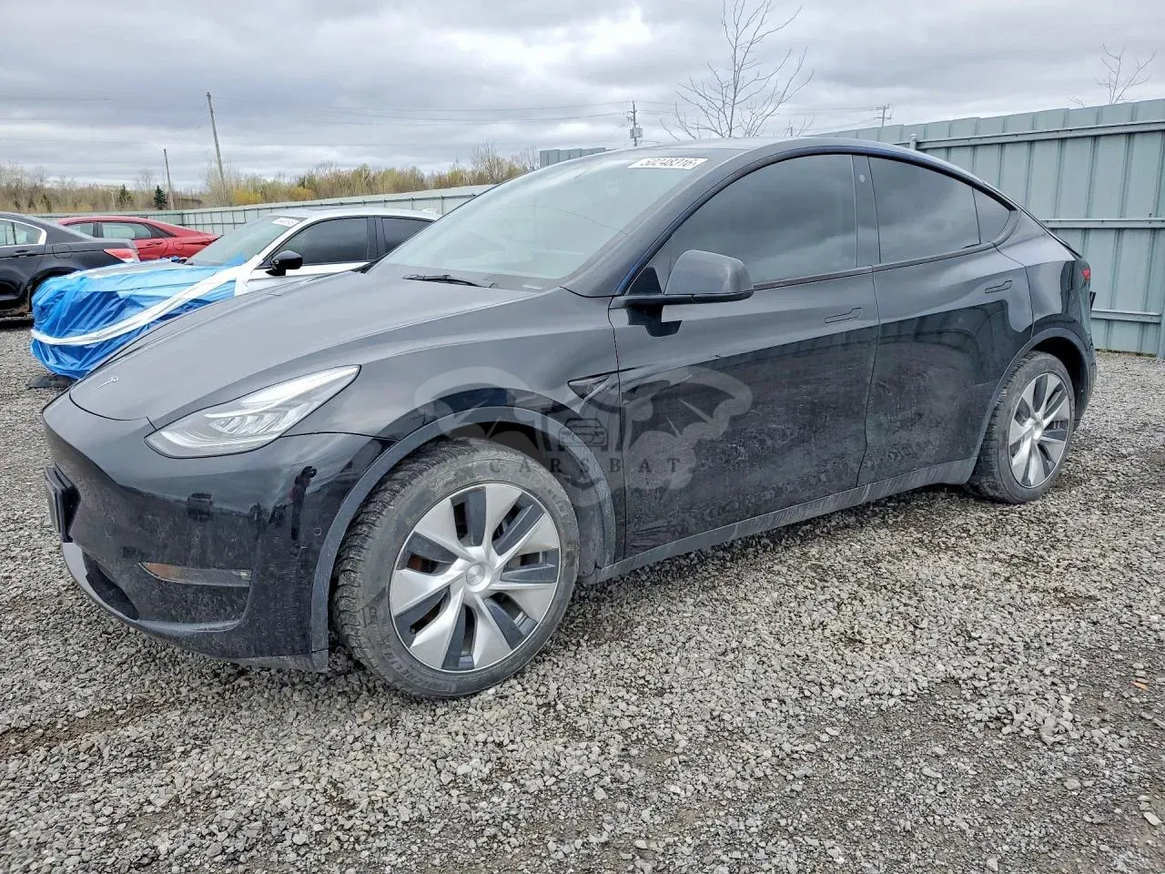 Tesla Model Y 2021