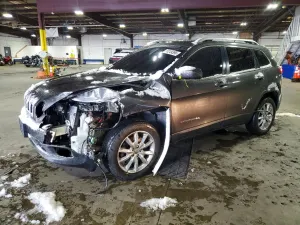 Jeep Cherokee 2.4L 4 2015