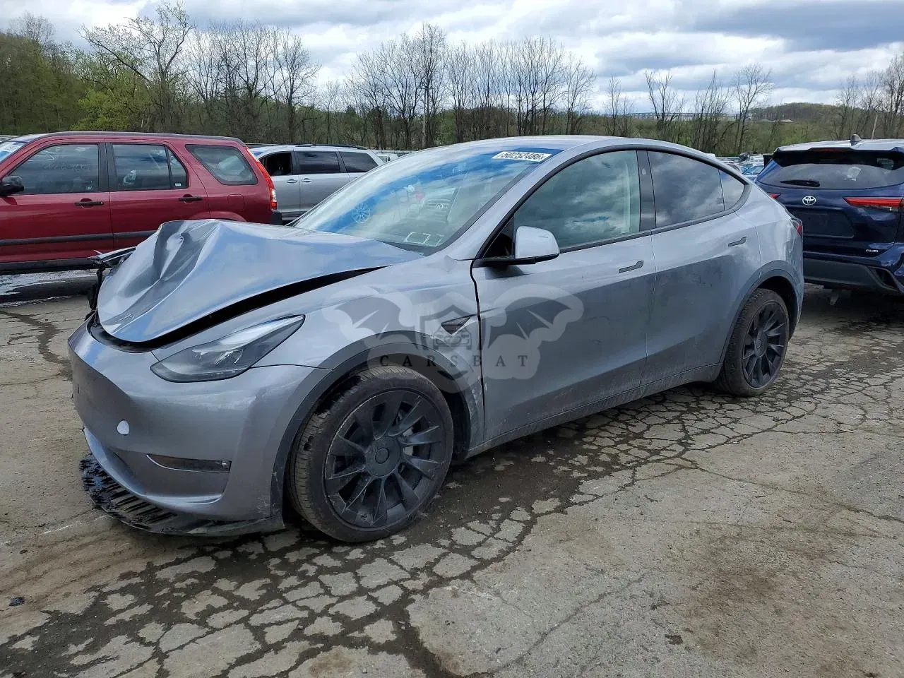 Tesla Model Y 2024