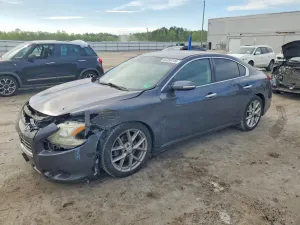 Nissan Maxima 3.5L 6 2010