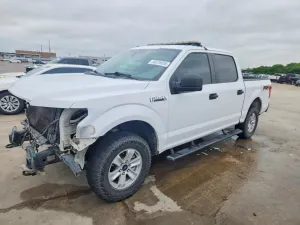 Ford F-150 5.0L 8 2019