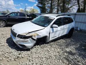 Jeep Cherokee 2.0L 4 2019