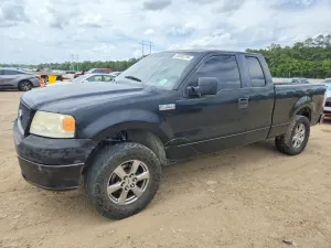 Ford F-150 4.6L 8 2005