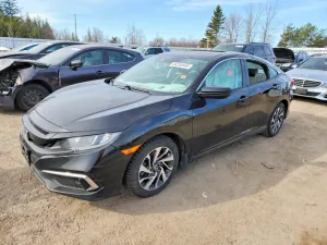 Honda Civic 2.0L 4 2019