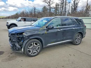 Hyundai Palisade 3.8L 6 2024