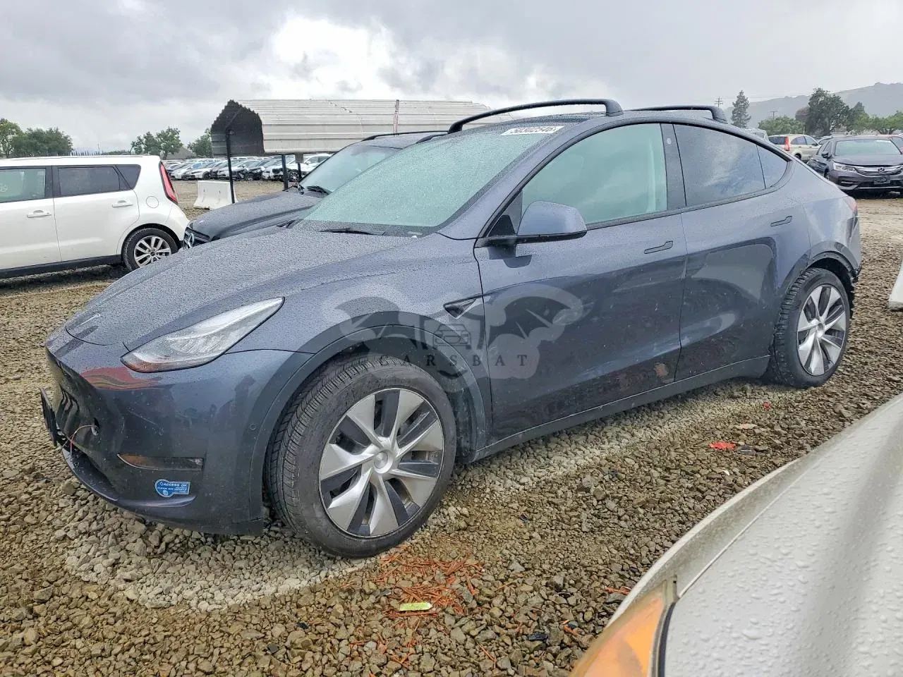 Tesla Model Y 2021